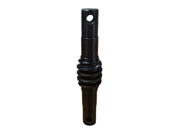 Precision Worm Gear Shaft