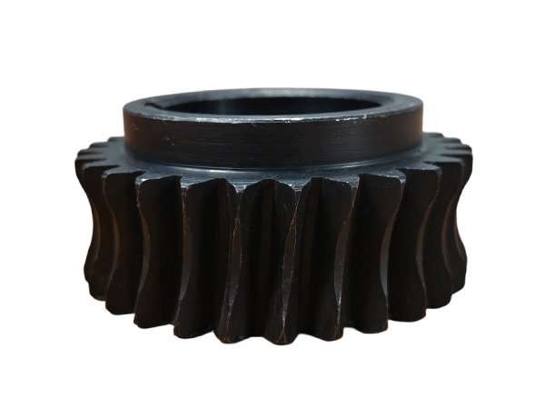 Worm Gear